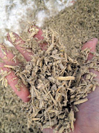 Championing hemp: Ontario builder promoting use of hempcrete