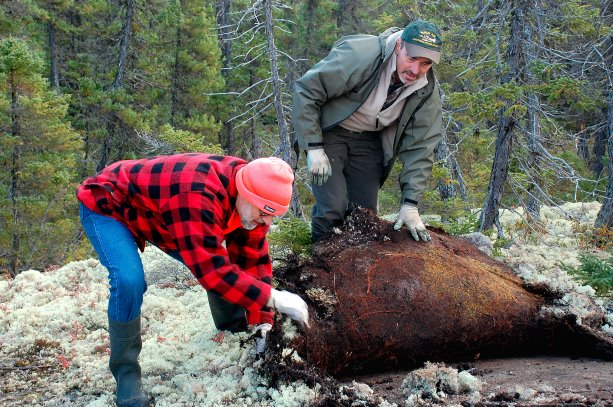 Proposed Ring of Fire railway faces issues