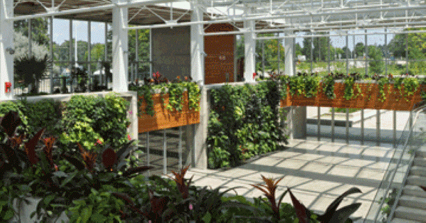 Royal Botanical Gardens living wall wins green award