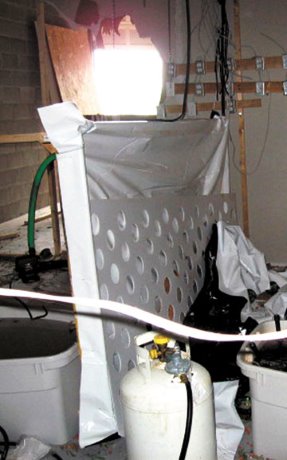 Why busted marijuana grow-ops pose a challenge for remediation and demolition