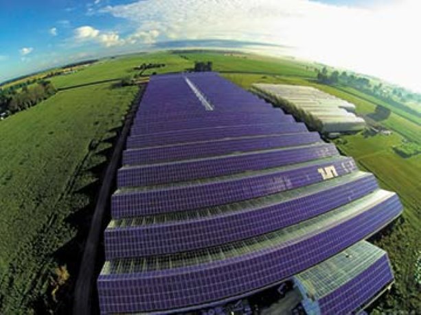 Vine Fresh plants six-acre solar rooftop array