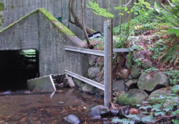 KWL Emerald System monitors water and flow levels