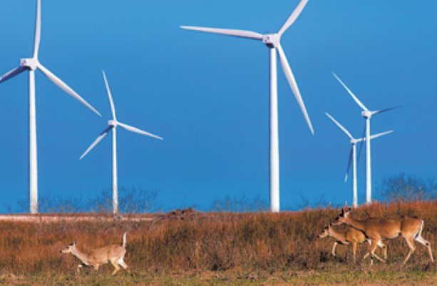 Construction work starts on 60-turbine windfarm in St. Joseph, Manitoba