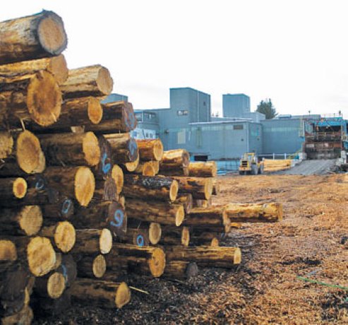 Sawmill set for millions of dollars in upgrades