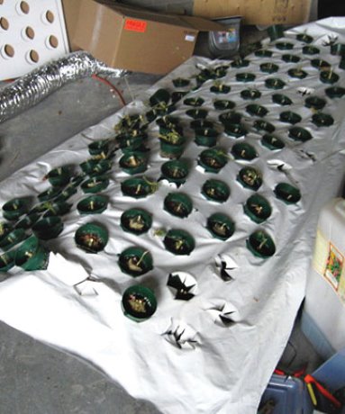 004_RBI-image-DCN049896I04