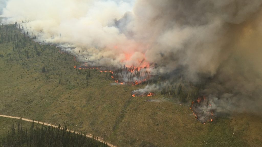 B.C. construction industry unites to fight wildfires