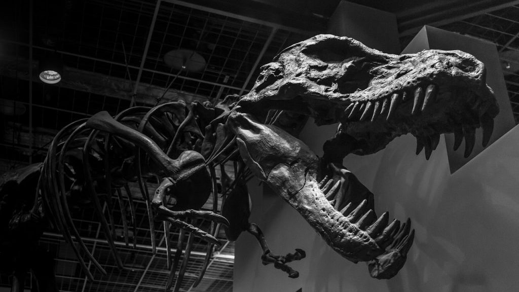 Royal Saskatchewan Museum revamp makes room for ‘Scotty’ the T-Rex