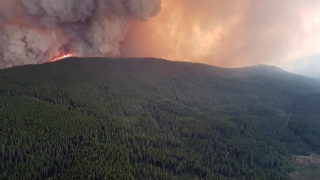 B.C. releases emergency response action plan in wake of natural disasters