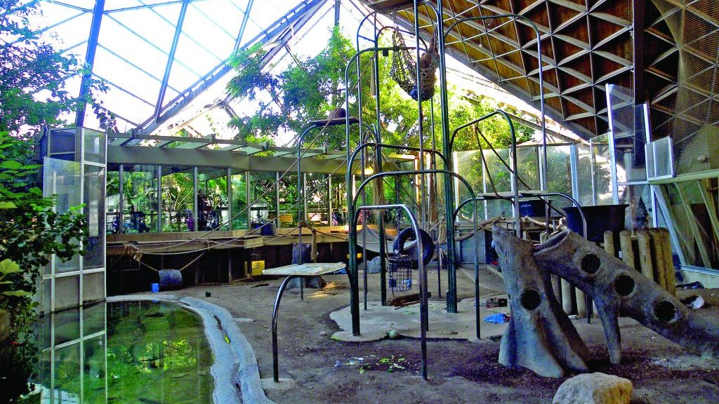 Toronto Zoo pavilions, braced by steel, stand the test of time
