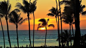 Maui remembers the 102 lost in the Lahaina wildfire with a paddle out 1 year after devastating blaze