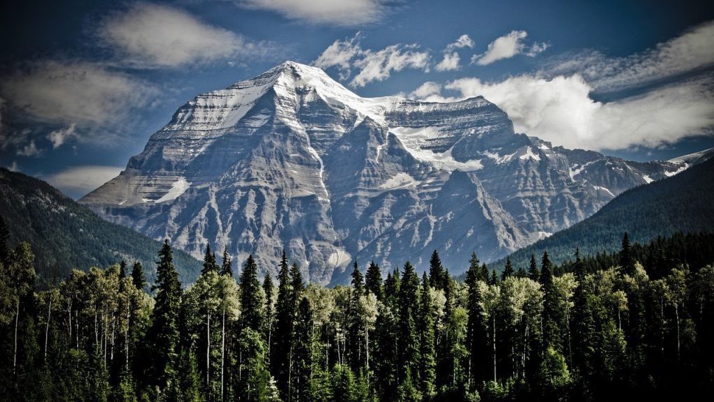 Teck moves to protect 14,000 hectares of wildlife habitat in Canada and Chile
