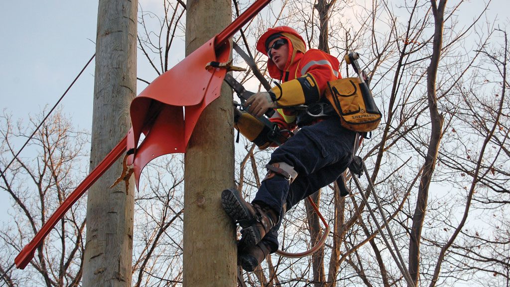 Progression and review at heart of powerline tech safety training