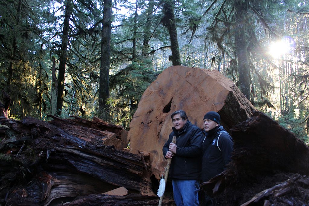 Massive cedar sculpture to recognize UN International Year of Indigenous Languages