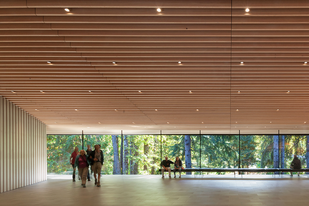 Wood Spotlight Timber for Two