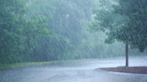 Southwestern N.L. mayor says climate change talks needed after another dump of rain