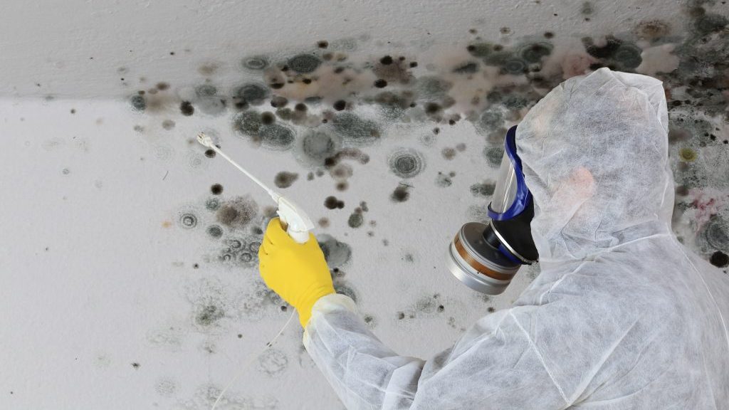 Builders, contractors at risk when buildings go mouldy