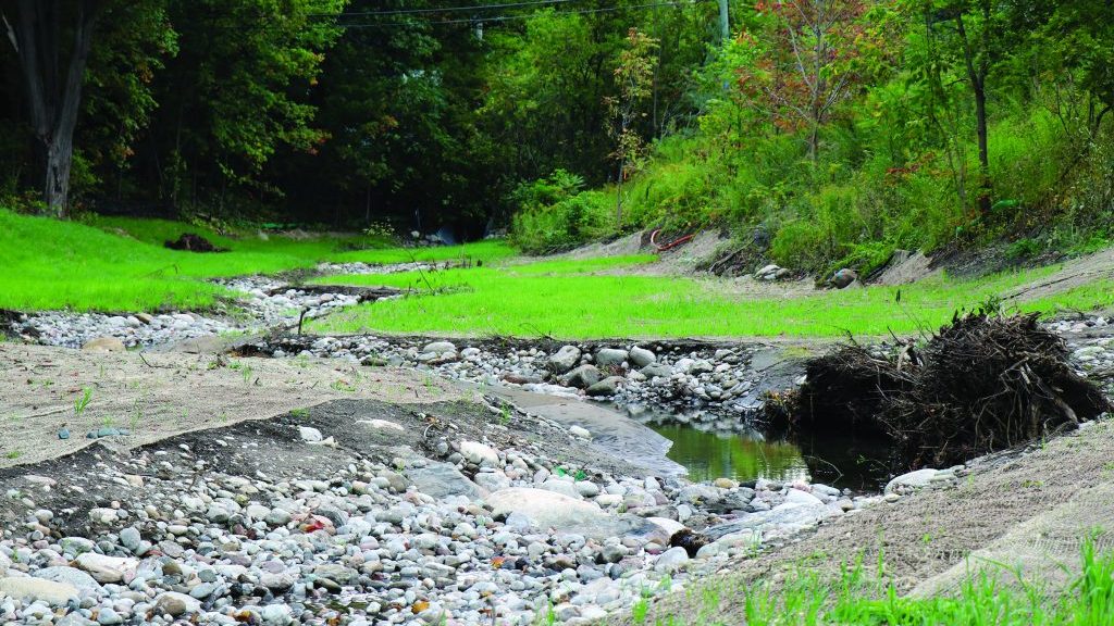 Project ensures ‘urbanized’ Kidd’s Creek is restored, protected