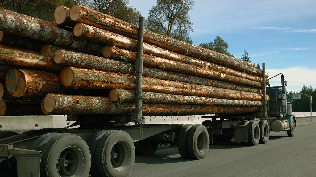 Canada disappointed with U.S. final softwood lumber duty rate, says trade minister