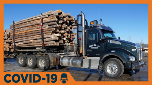 B.C. holds off on wood export changes to help industry weather COVID-19