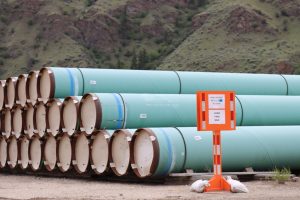 Trans Mountain reaches ‘key milestone’ as pipeline construction begins in B.C.