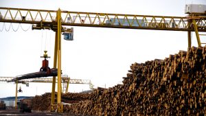 A crane lifts logs at a pulp mill west of Edmonton. The province’s forestry sector is struggling to keep up with massive building product demand as home construction continues through the COVID-19 pandemic.