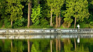 Vancouver passes emergency climate plan to achieve emissions goals