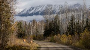 $28 million in rural road improvement projects approved across B.C.