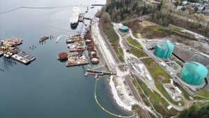 ‘Systemic non-compliance’ of COVID-19 rules at Trans Mountain sites: CER