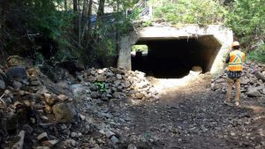 Shamrock Lake concrete culvert gets new life thanks to innovative solution