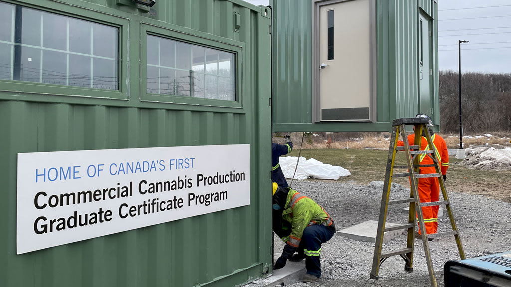 New cannabis research bunker built at Niagara College
