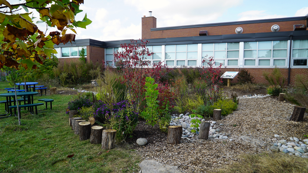 Rain gardens provide important lessons for students, contractors