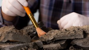 Careful site inspection can mitigate First Nations work disruptions