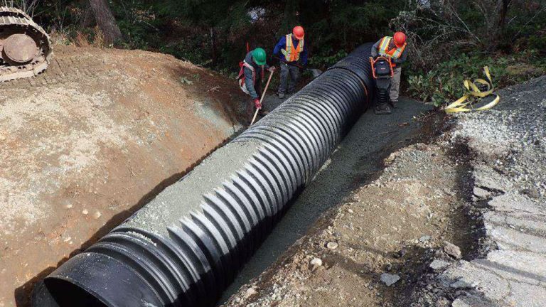 Four plastic underground tunnels were recently installed in a 700-metre corridor along Riverbottom and Barnjum roads near Duncan, B.C. on Vancouver Island to allow western toads and other small amphibious critters to cross the thoroughfares unharmed.