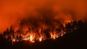 Fire officials worry wind could push wildfire into B.C. town today