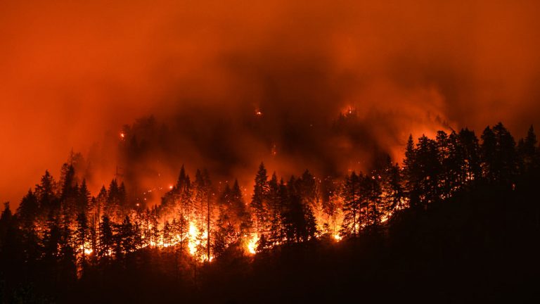 A photo of a wildfire burning a forest with black smoke rising from it and an orange sky.