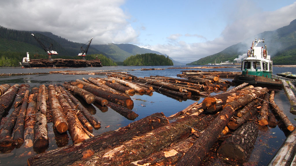 B.C. announces changes to help struggling forest-sector contractors