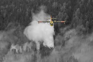 Ford ‘won’t spare a penny’ to fight wildfires but won’t declare state of emergency