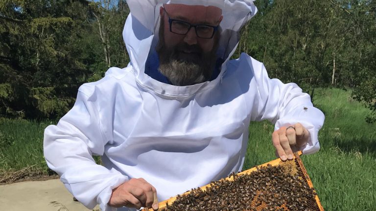 A beekeeper checks on a hive in Villenueve, Alta. The bees are used to help pollinate new plant growth at decommissioned aggregate mining sites.