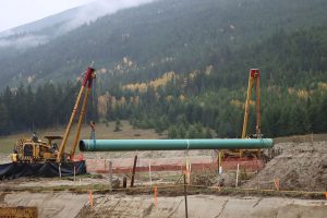 COVID cluster found at Trans Mountain site