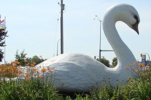 Swan River partnership takes flight for Main Street project