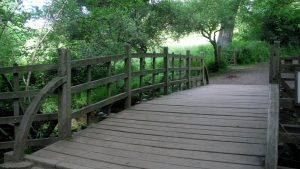 Pivotal bridge from Winnie the Pooh series to be auctioned