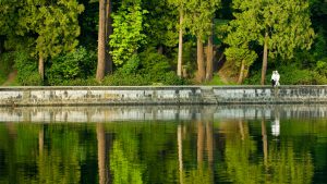 A couple walks in Stanley Park along Vancouver’s iconic seawall. King tides coupled with high winds and heavy debris have damaged parts of the wall and several wooden piers.