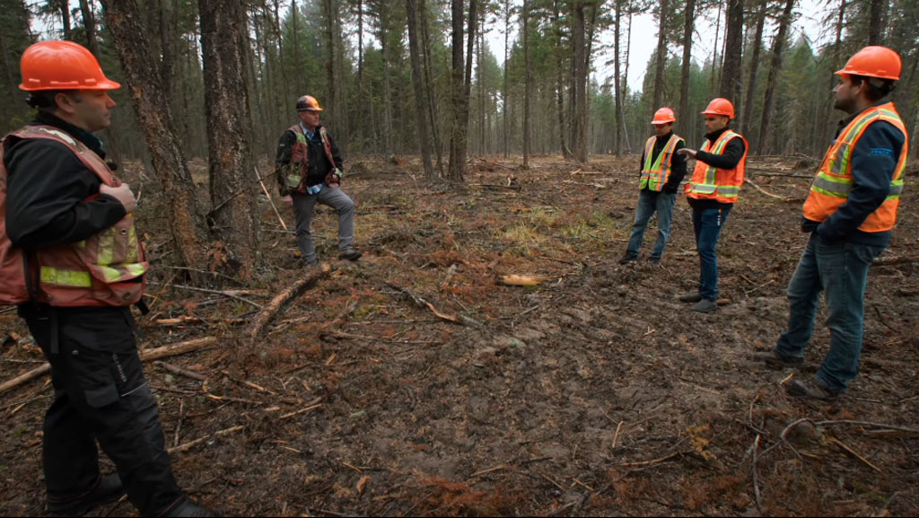 Forestry doc looks to cut through misconceptions