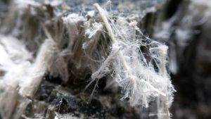 Naturally occurring asbestos could be uncovered on post flood worksites in B.C.