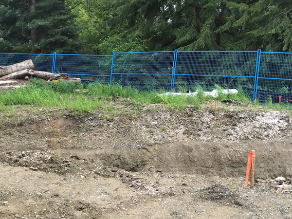 Pictured, a shell midden found at the Charters Road housing project in Sooke, BC. Work stopped immediately upon the discovery made by an excavator operator.