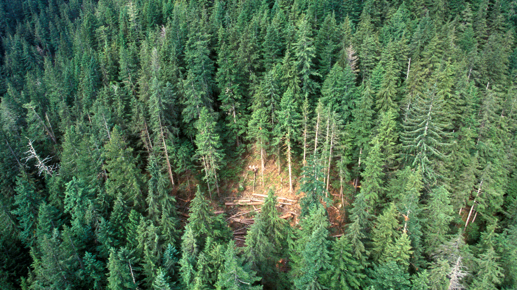 Western Forest Products investing in B.C. facilities