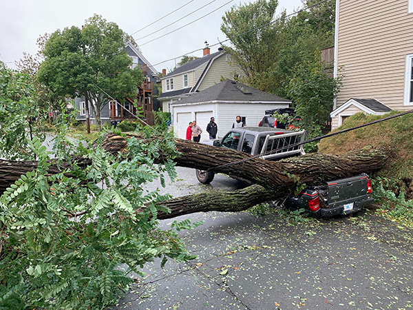 The storm caused widespread damage, including thousands of trees on lines and hundreds of broken or leaning poles caused by trees, downed transformers and blocked roads from fallen trees.
