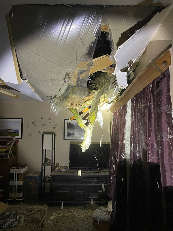 Charlottetown police tweeted this image out of a tree that had pierced through a residence in the province.