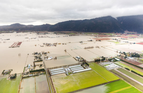 More striking than the destruction caused by the floods was the resilience of the people of Abbotsford, says FirstOnSite Restoration Ltd.’s Jim Mandeville. “People are tough. They don't know it and they don't think it but when you put people in that situation it's pretty impressive to see what usually comes up.”