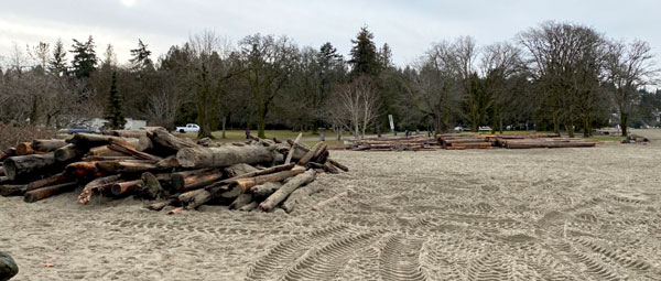 Park Board staff accumulate logs at Jericho Beach for removal by a log salvage boat. Debris such as logs caused damage to shoreline infrastructure across Vancouver during a perfect storm on January 7, 2022.